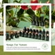 thumbnail image 2 of Set de esmaltes en gel Beetles, 23 unidades, otoño-invierno, colores oscuros, 5 ml, 2 of 6