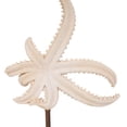 thumbnail image 5 of 8" x 12" Pink Polystone Textured Starfish Sculpture with Copper Stand, by DecMode, 5 of 13
