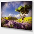 thumbnail image 2 of Bright Lavender Garden Field, 2 of 3