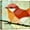 B40-2107-94-FO31, variant on PixonSign Canvas Print Wall Art Geometric Style Red & Orange Robin Birds Wildlife Illustrations Modern Art Rustic Closeup Colorful Multicolor Ultra for Living Room, Bedroom, Office - 24"x24"