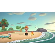 Animal Crossing New Horizons Nintendo Switch