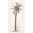 thumbnail image 2 of Ian C 11x18 Gold Ornate Wood Framed with Double Matting Museum Art Print Titled - Vintage Palm Tree II, 2 of 4