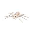 thumbnail image 1 of Skeleton Spider 35 Cm, 1 of 1