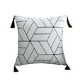 thumbnail image 1 of AMERTEER Simple Geometric Fringe Decorative Cushion Rectangle Tassel Soft Pillow Cover, 1 of 12