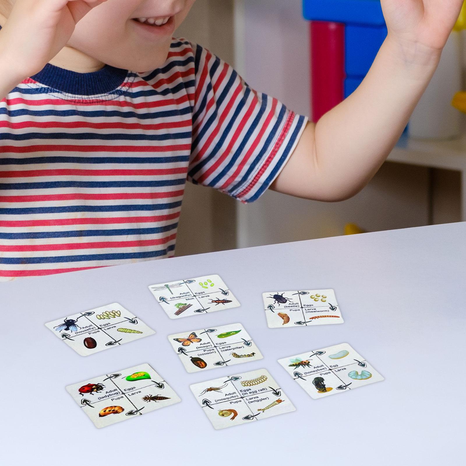 Life Cycle Puzzle Science Cognition Teaching Aids Developmental Toys