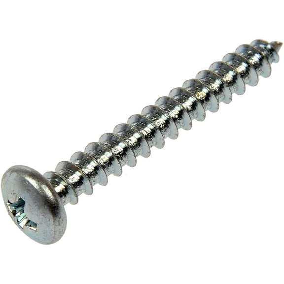 Dorman 360-210 Screw Chrome (Pack of 100)