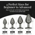 thumbnail image 4 of Session Butt Plugs, 4-Piece Training Set, Anal Plug Toys, Stainless Steel Jewel Charm, Gunmetal & Clear, Circle Shape, 4 of 6