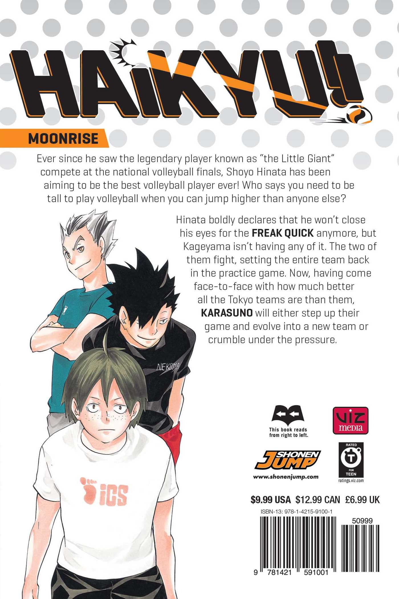 Haikyu!! #04 - Mangás JBC