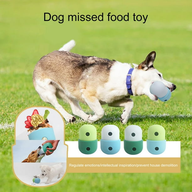 Intellectual 2024 dog toys