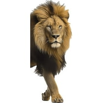 Colorful Lion Bust Wall Sticker Realistic Style Wall Art Lion Wall Decals Peel and Stick Removable Wall Stickers