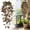 Brown, variant on ZFSBZBS Fake Hanging Plants Vines for Room Decor,Artificial Ivy Greenery Garlands for Home Bedroom Living Aesthetic Kitchen Office Wall Patio Bookshelf,Indoor,Outdoor Farmhouse Decorations,Green