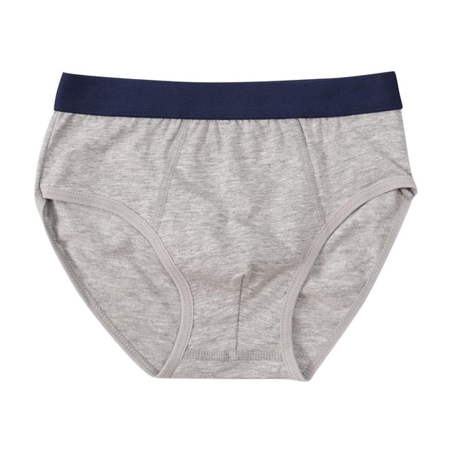 Boys' Briefs Underwear for Men Solid Color Breathable Cool Silk Cavalry Multipc
