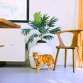 thumbnail image 5 of Good Pet Stuff Hidden Cat Litter Box Enclosure with Artificial Plant, Odor Filter System, Original Round Planter, Base Kit, White Birch, 5 of 18