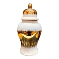 thumbnail image 1 of Jarrón de para jengibre, jarrón decorativo de cerámica, centro de mesa, recipientes para cosméticos artesanales, florero de cerámica, tarro S Sunnimix tarro de jengibre, 1 of 8