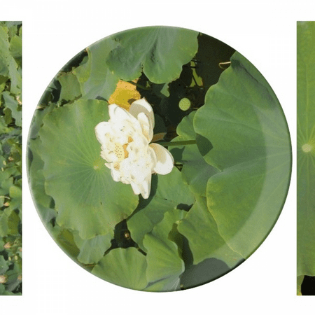 

White Lotus Lake Plate Decorative Porcelain Salver Tableware Dinner Dish