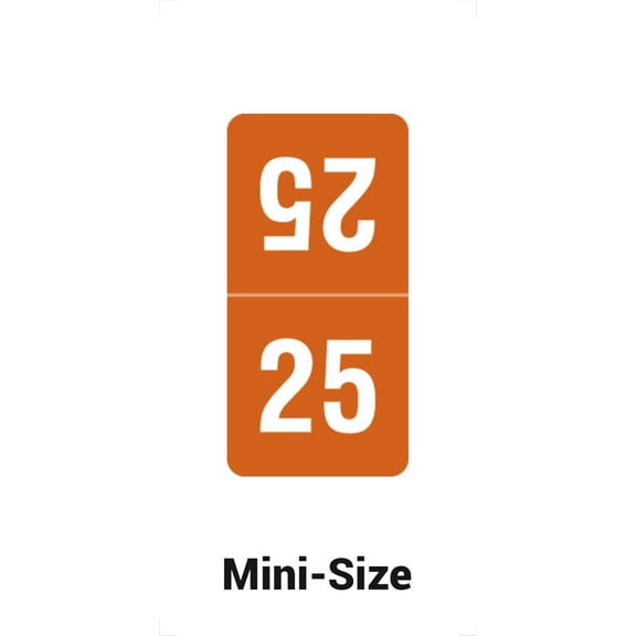 2025 Top Tab Year Stickers, Brown, Compatible with Smead, 2025 Chart Stickers, Made Year Labels for Top Tab File Folders, 500/Roll, 1 Roll, 1/2" x 1" - Small Labels