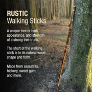 Brazos Free Form Maple Wood Walking Stick 55 Inch Height