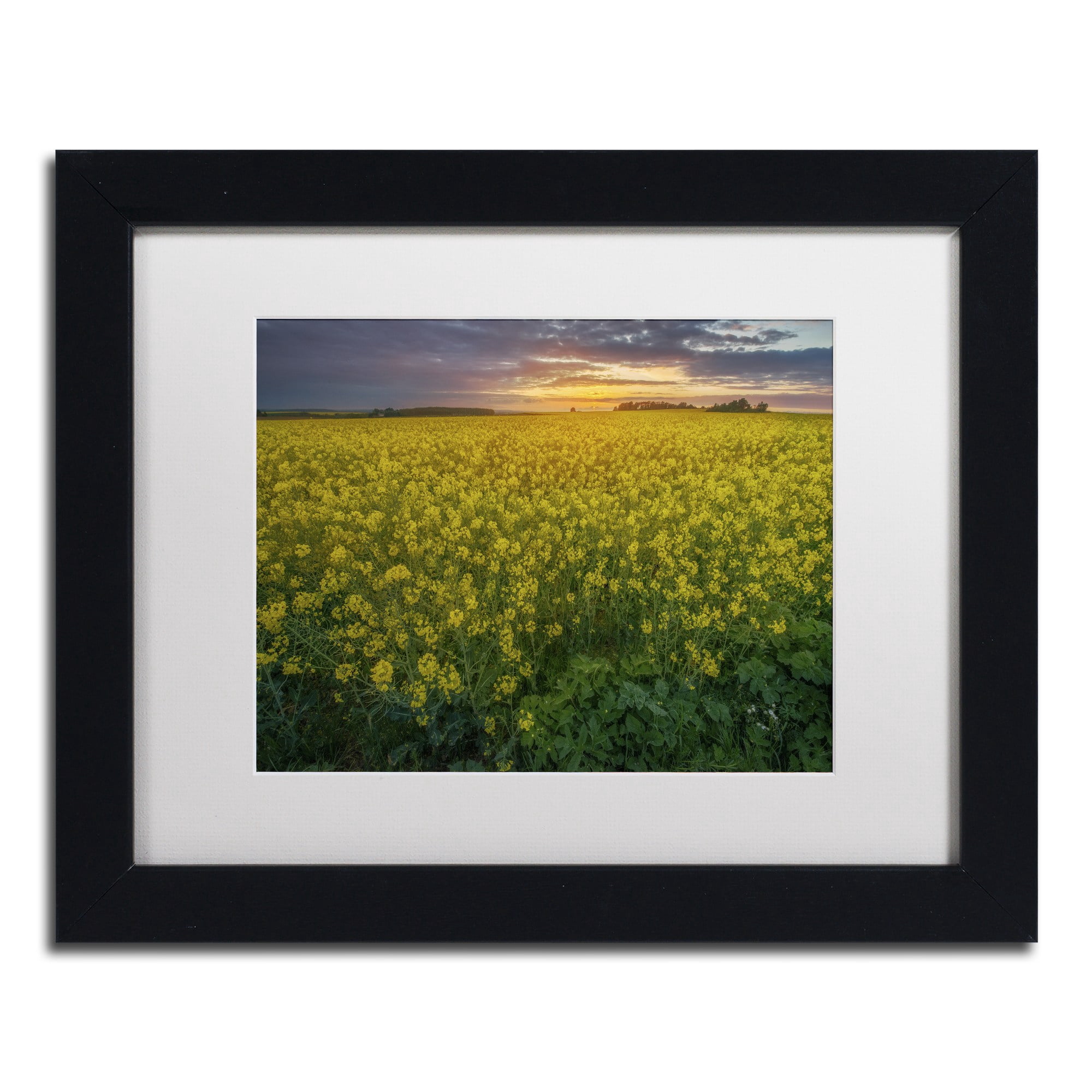Trademark Fine Art "Yellow Planet" Canvas Art by Mathieu Rivrin, White Matte, Black Frame