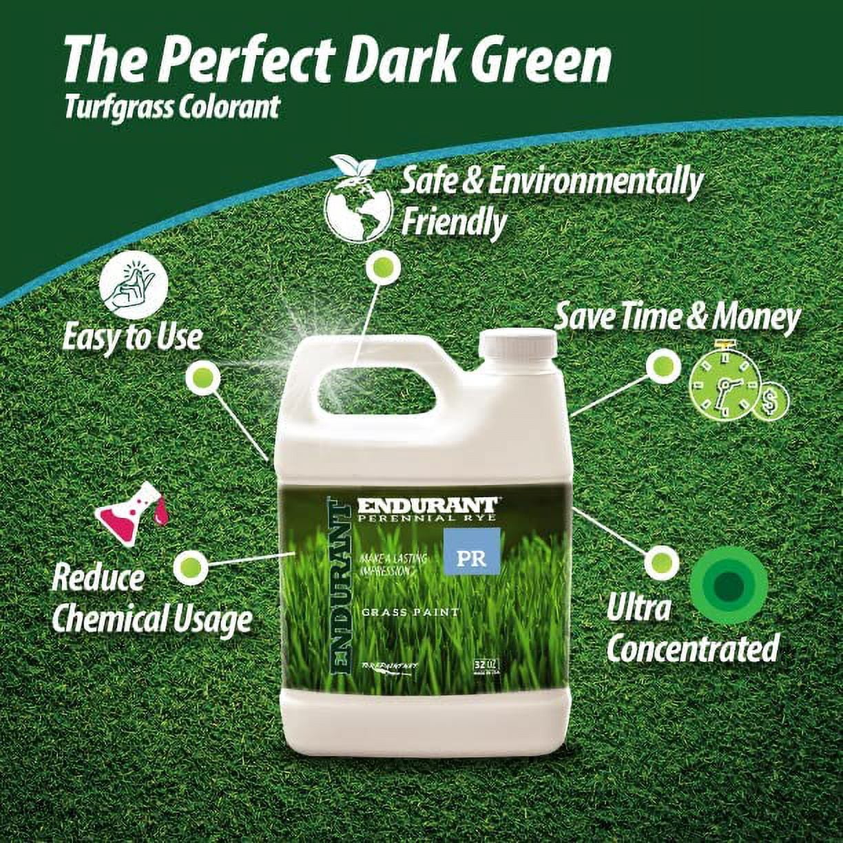 Endurant Perennial Rye Light green grass lawn colorant