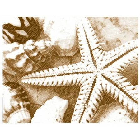 15 Poster Print - Starfish Impression Poster Print (15 x 12)