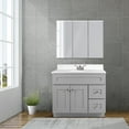 thumbnail image 3 of Design House Brookings 37" x 22" Ready to Assemble 2-Door 2-Drawer Bath Vanity with Cultured Marble 4" Centerset Solid White Top, Sherwin Williams® Gray/White, 3 of 25