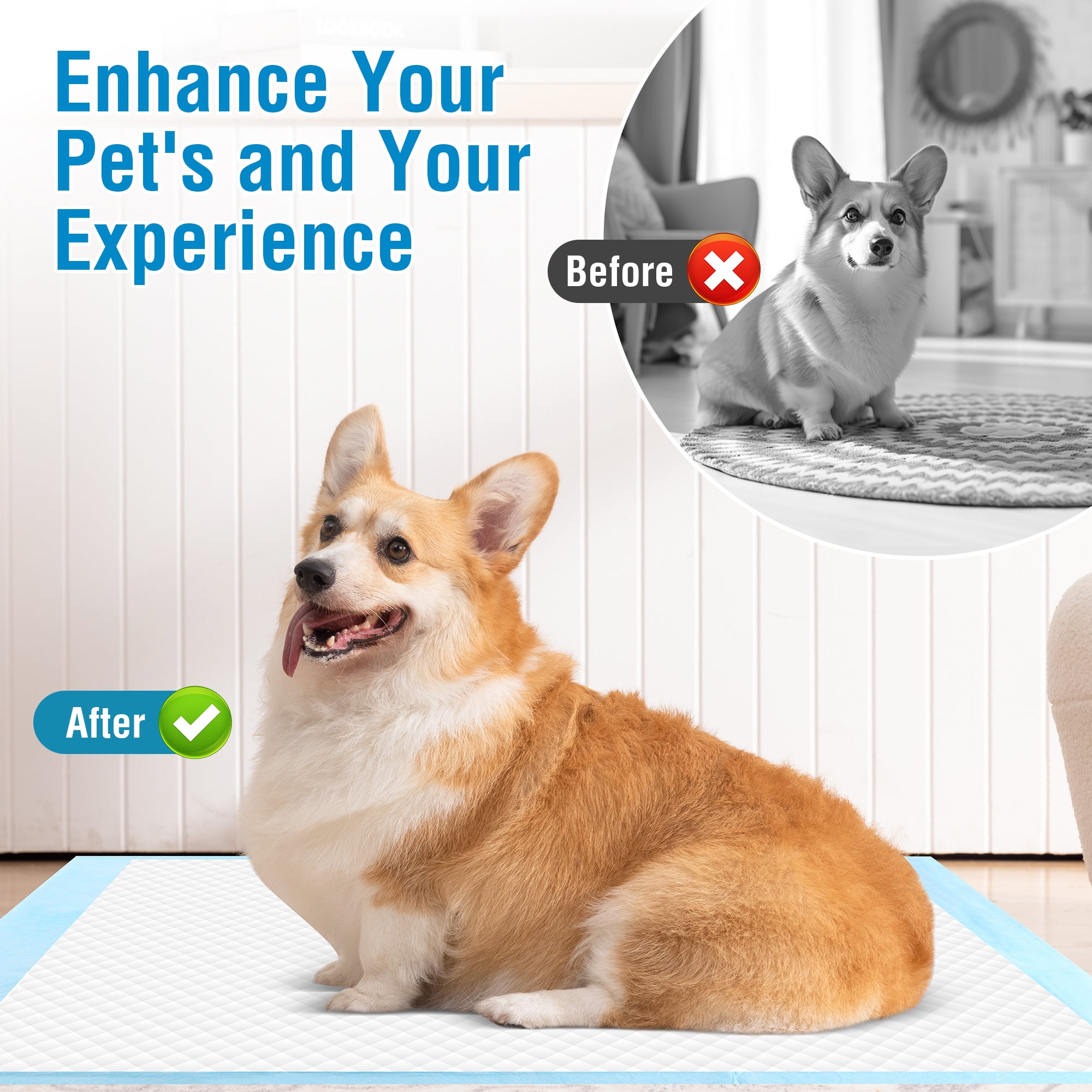 Zoolike XXL Dog Pads Dog Training Pads, Disposable Dog Pee Pads,30"x 36", 100 COUNT