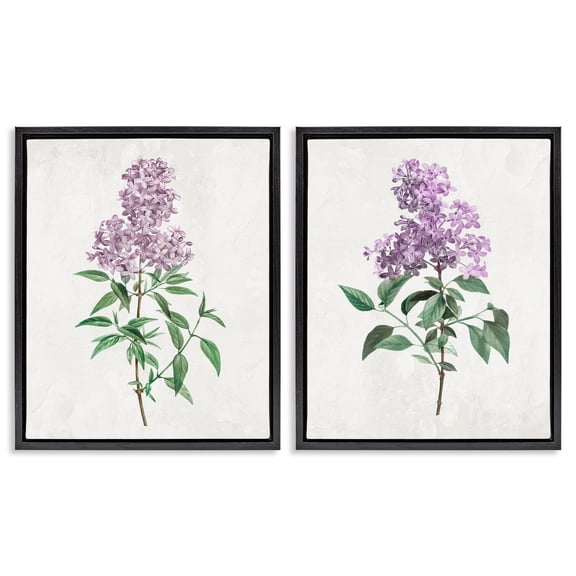 Stupell Industries Herbaceous Lilac Blooms 2 Piece Black Framed Floater Canvas Set, design by Kim Allen
