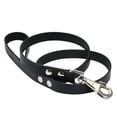 thumbnail image 2 of Dogs My Love Genuine Leather Classic Dog Leash 4 Ft Long 9 Sizes (XXLarge (Width: 20mm - 7/8"), Black), 2 of 2