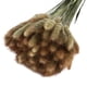 thumbnail image 2 of 60 unids/set Flores artificiales Cateissary Color natural, 2 of 6