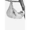 thumbnail image 3 of Allen, Kimberly 13x18 Black Modern Framed Museum Art Print Titled - Quirky Sloths 1, 3 of 5