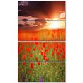thumbnail image 2 of Wild Poppy Flowers At Cloudy Sunset - Large Flower Canvas Art Print, 2 of 3