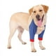 thumbnail image 4 of NeoAlly Coderas protectoras para perros para codo y hombro canino, higroma de codo, displasia, osteoartritis, callos de codo, M, 4 of 4