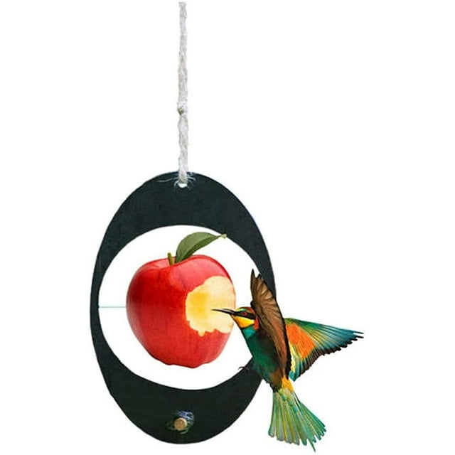 Hummingbird Fruit Feeder Outdoor Art Black Hanging Bird Feeder Wooden Garden Oval Wild Bird Feeder for Bird Watching