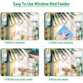 thumbnail image 4 of Acaige Window Bird Feeder With Strong Suction Cups With 3 Strong Extra Suction Cups, 4 of 5