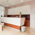 thumbnail image 4 of TRAMONTINA - Basurero T-Force, Contenedor de Cocina, de Polipropileno Inyectado en Color Blanco, con Abertura de Pedal, Capacidad de 15 L, 4 of 4