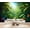 Color 3, variant on Wallpaper Tropical Monstera Leaf Green Foliage rainforest Watercolor Peel and Stick Wall Murals 100"H x 144"W Removable PVC Wall Paper Self-Adhesive Wall Paintings Art Decor for Bedroom Living Room
