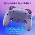 thumbnail image 2 of CHENGDAO Controller for Switch/Switch 2/PC, Hall Effect Joystick & Trigger, 2 Programmable Back Buttons, Purple, 2 of 7