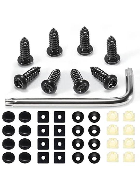 License Plates Screws in Screws