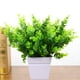 thumbnail image 2 of 5 piezas de plantas verdes artificiales de plástico, Herba Lysimachiae, plantas decorativas realistas para decoración de hogar, oficina y fiestas (verde), 2 of 5