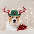 thumbnail image 1 of Xihbxyly Ofertas Prime de Hoy Gorro de Asta de Navidad para Mascota, Peluche de Shiba Inu Mediano, Bonito Disfraz para Fiesta, 1 of 6