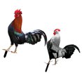 thumbnail image 4 of 2 piezas de 2 piezas para la vida de la estaca de aves de corral acrílico en el jardín Simulación de la estaca de la estaca de pollo estaca de pollo, 4 of 4