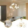 thumbnail image 1 of Ganfancp Dormitorio Todo-Cobre Ronda Lámpara Pantalla de Cristal Led Lámpara de Techo de Oro Moderno Sala de Estar Comedor Cocina Liquidación Ventas Hoy Ofertas Prime 1 Juego de Lámparas, 1 of 7