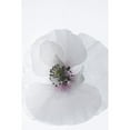 thumbnail image 2 of Stalus, Judy 13x18 Black Modern Framed Museum Art Print Titled - White Poppy, 2 of 4