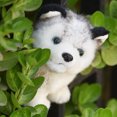 thumbnail image 3 of Source  Goods Children‘s Gift Husky Doll Plush Doll Doll Simulation Doll Plush Toy DMH, 3 of 4