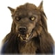 thumbnail image 1 of Máscara de cabeza de hombre lobo realista de látex con forma de perro lobo para Halloween, 1 of 3