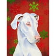 thumbnail image 1 of Caroline's Treasures Red and Green Snowflakes Holiday Christmas 2-Sided Garden Flag, 1 of 7