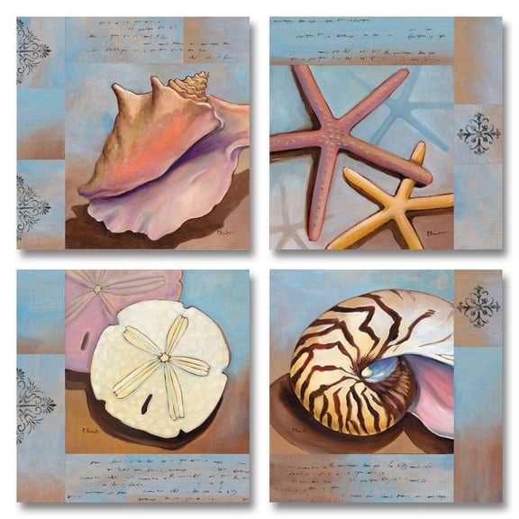 Sanibel Coast Conch Sand Dollar Starfish Seashells; Four 12x12 Poster Prints. Pink/Brown/Blue