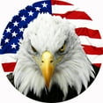 thumbnail image 1 of Tire Cover Central Eagle US Flag Black Vinyl (Select Size/Camera in Menu) 315/70R17, 1 of 4