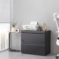 thumbnail image 2 of 2 Drawer File Cabinet, File Cabinets for Home Office, Printer Stand, File Cabinet with Lock, Lateral Filing Cabinet for A4/Letter/Legal Size File Folders, Assembly Required(Black), 2 of 9