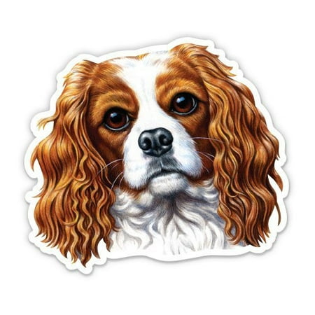 Cavalier Sticker - Cavalier King Charles Spaniel - Vinyl Sticker Waterproof Decal Sticker 5